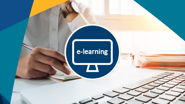 asset-flashpoint_formazione-asincrona-elearning Bammer formazione asincrona e-learning